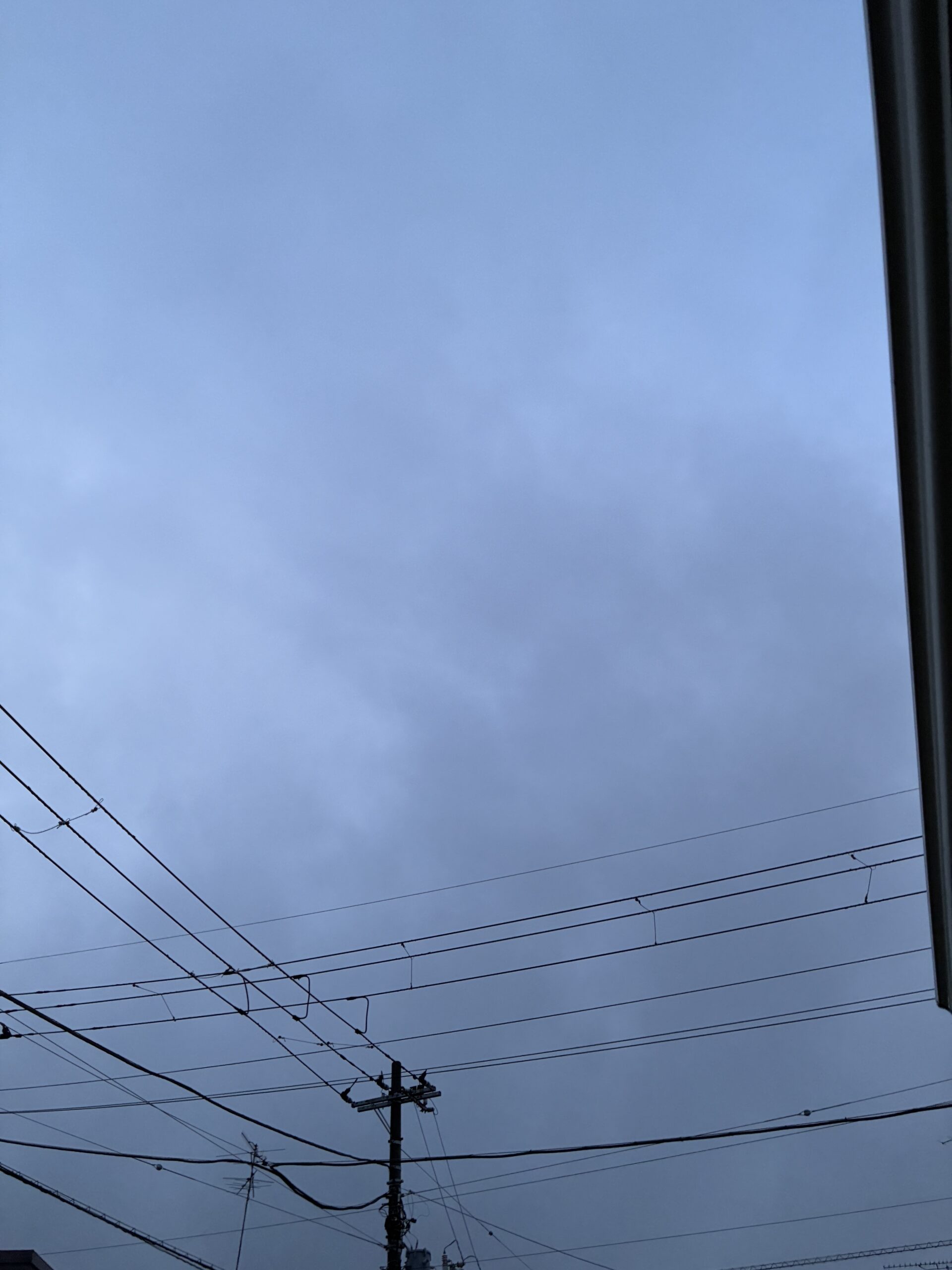 【東京都内】お盆期間の年次点検応援｜大型現場でメガー・接地抵抗測定を担当